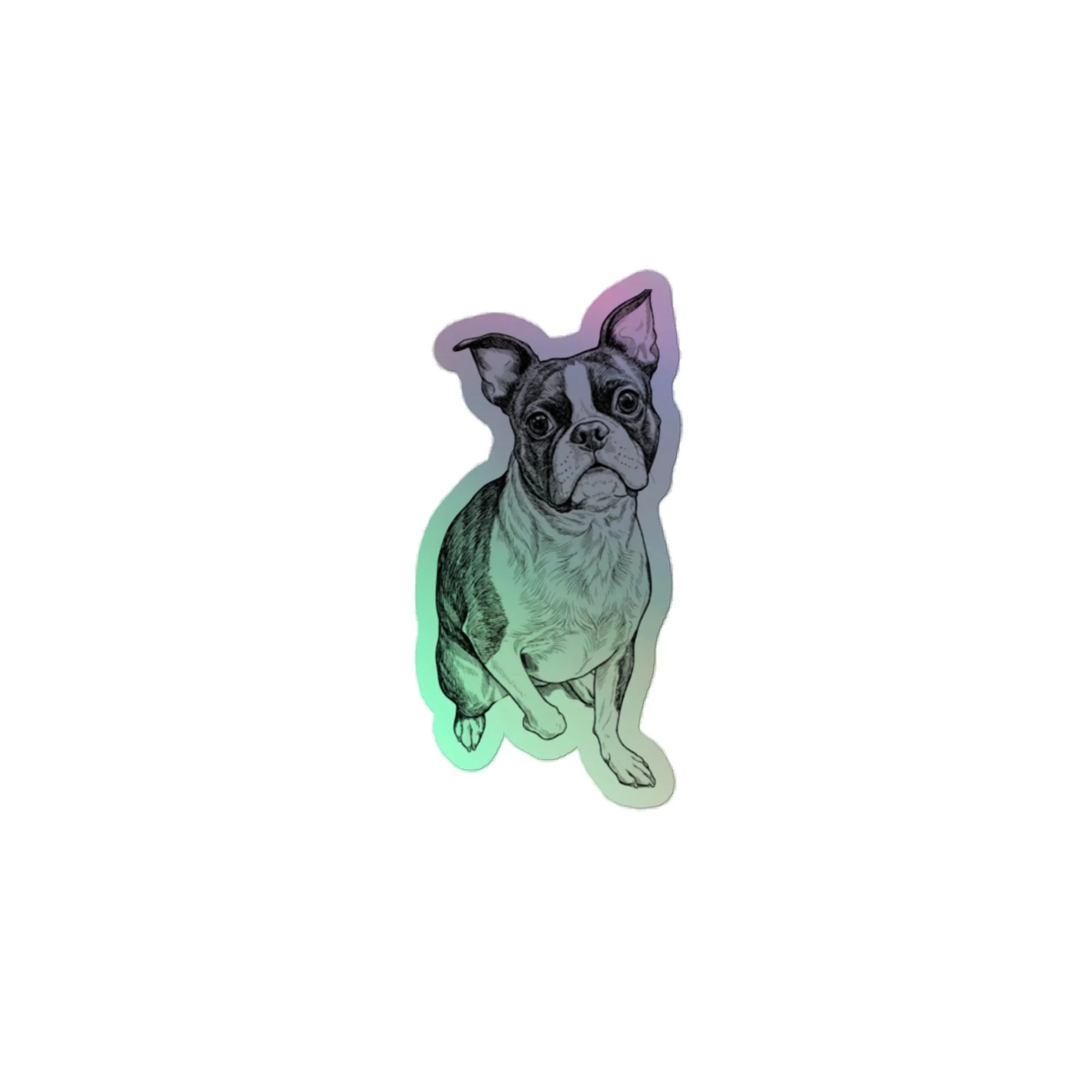 Boston Terrier Holographic Sticker