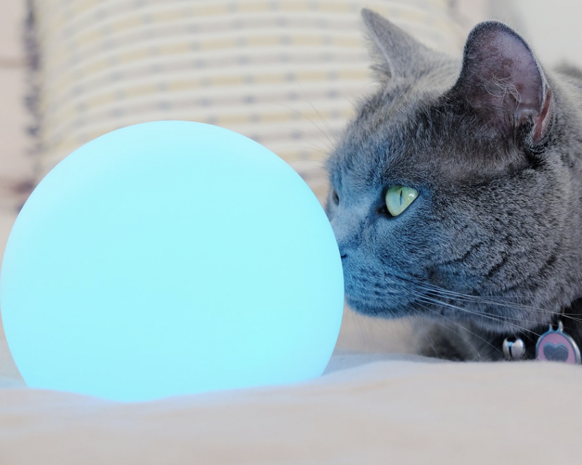 Screenshot 2024-03-12 at 10.53.32 AM.png