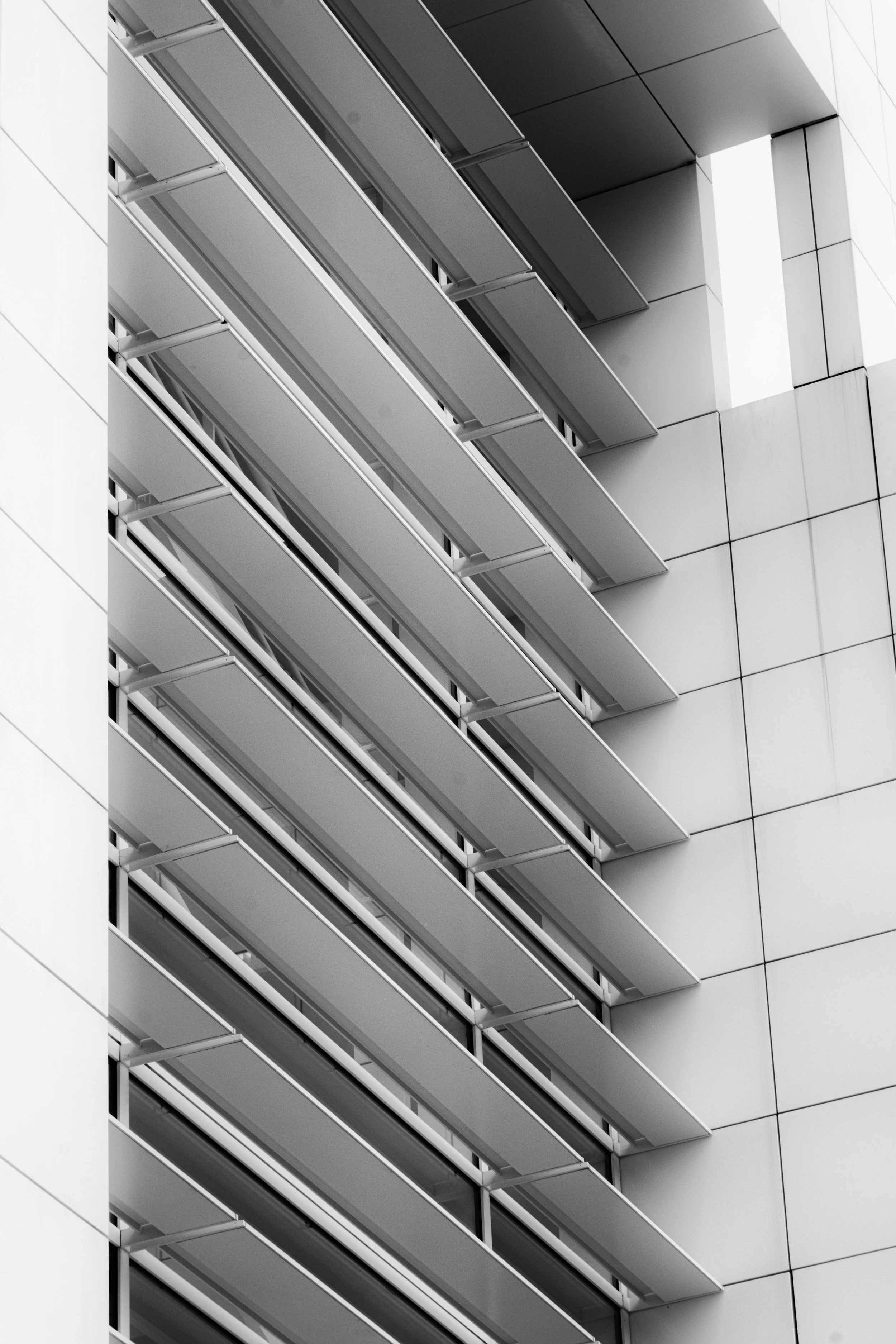 Getty shutters-.jpg