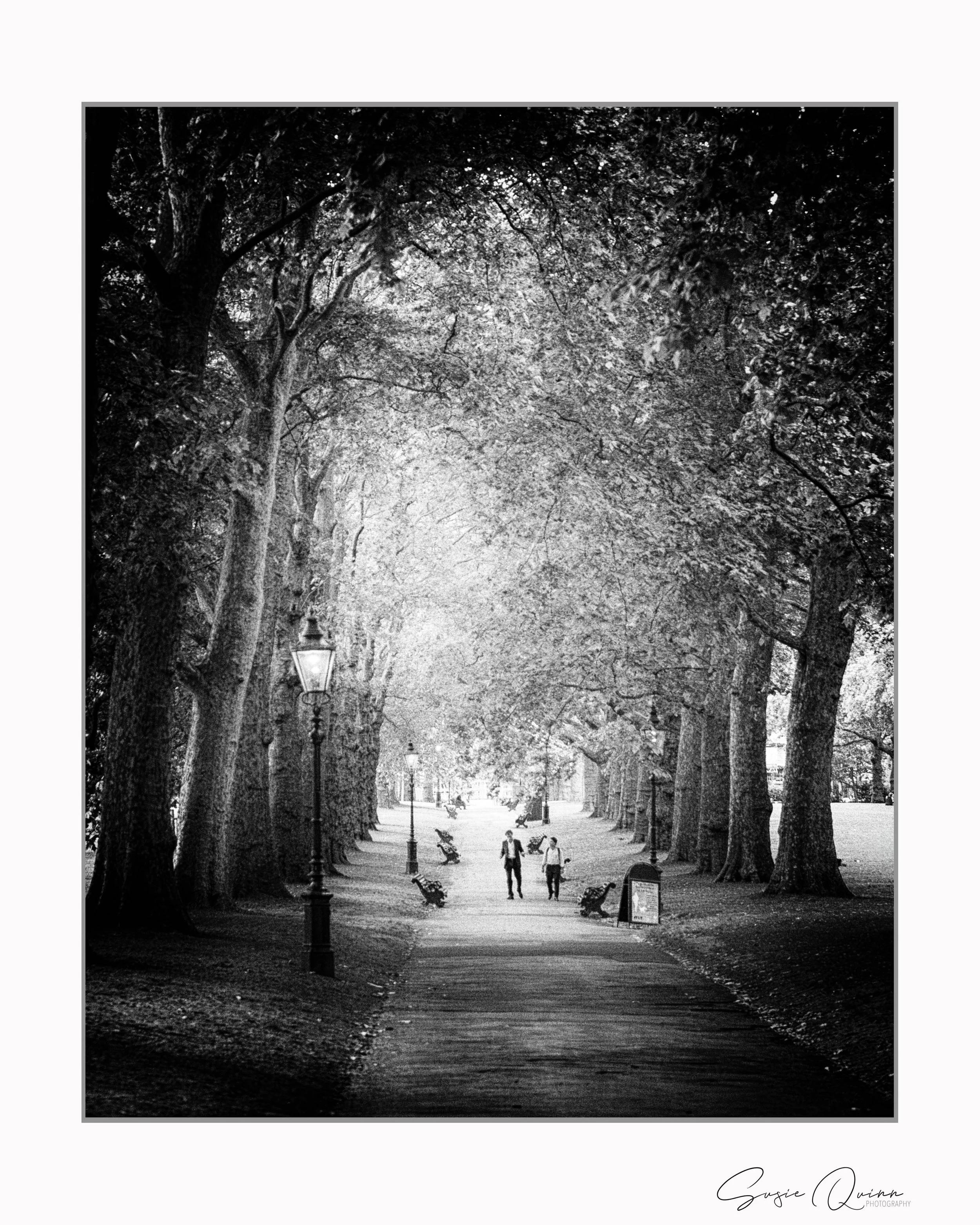 Stroll in the Park pinhole.jpg