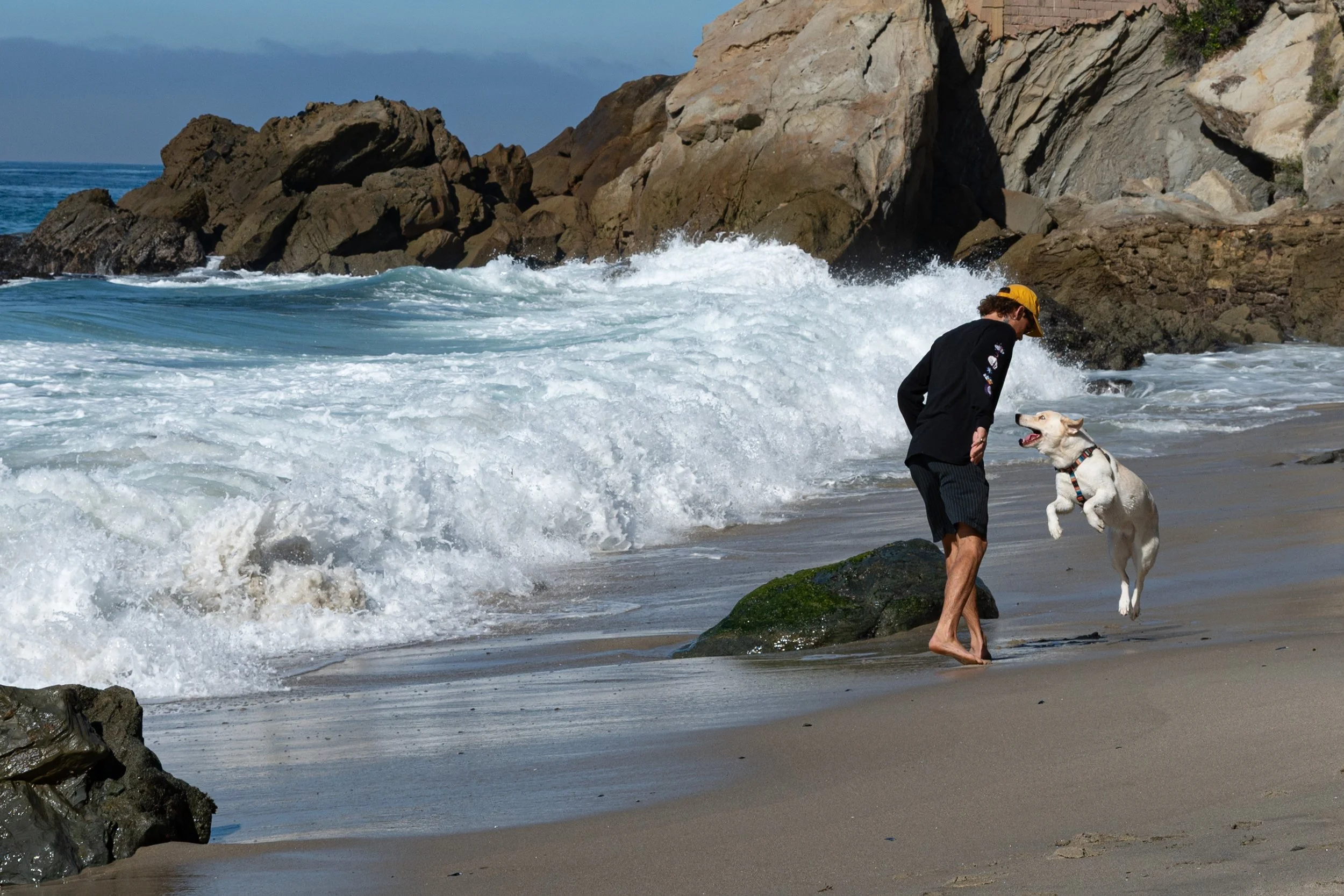 Man and dog-7019.jpg