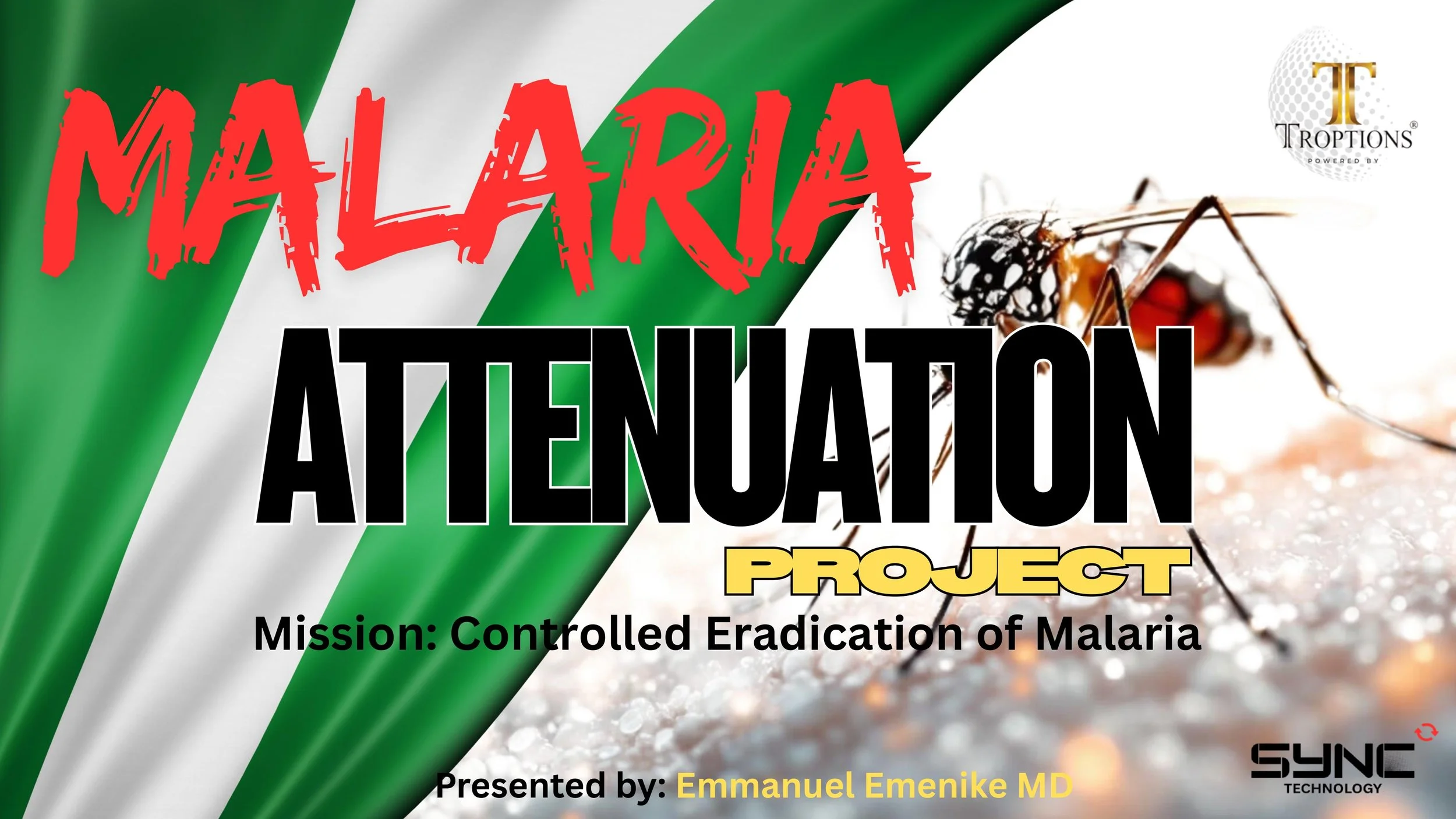 Nigeria_Malaria_Project_page1.jpg