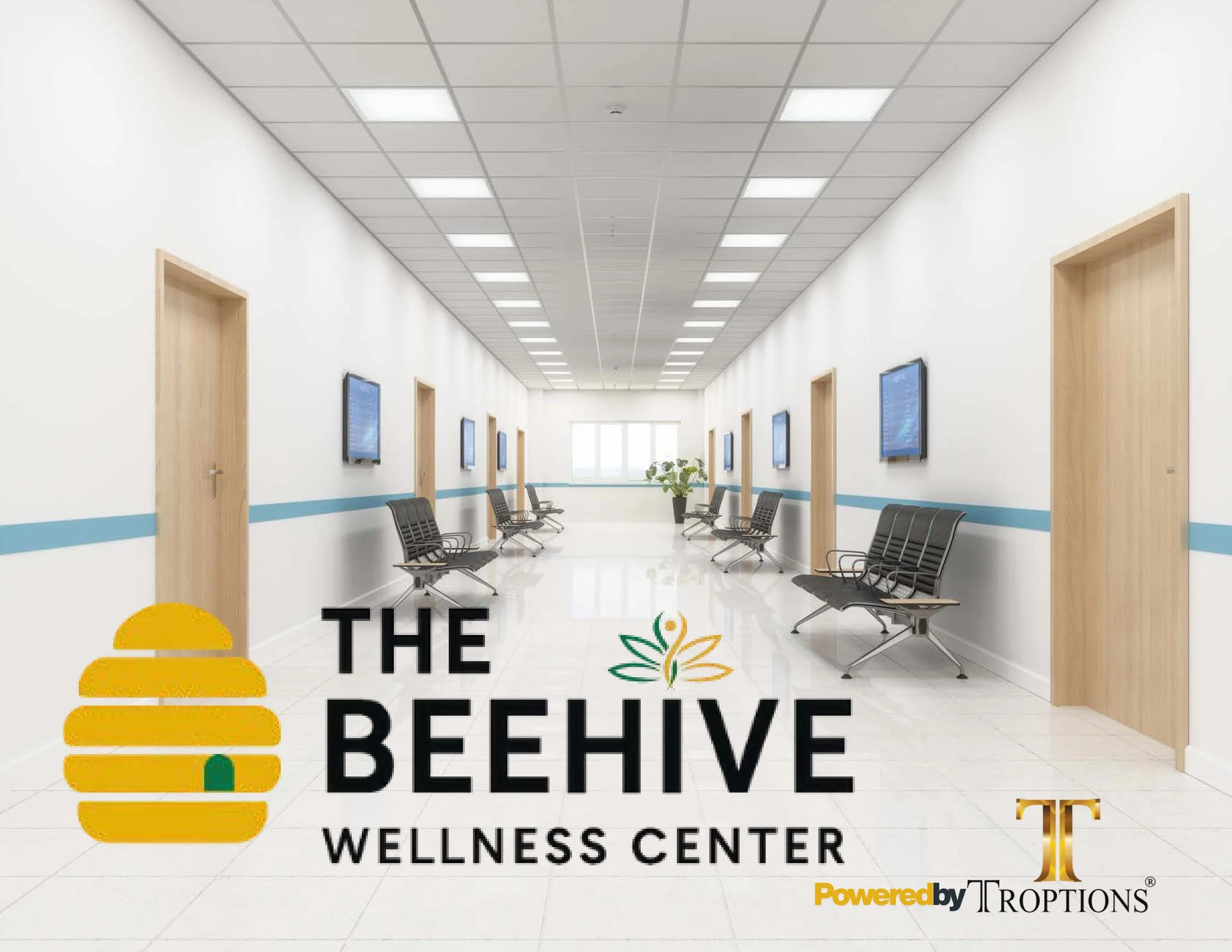 Media Records BEHIVE jpeg.jpg