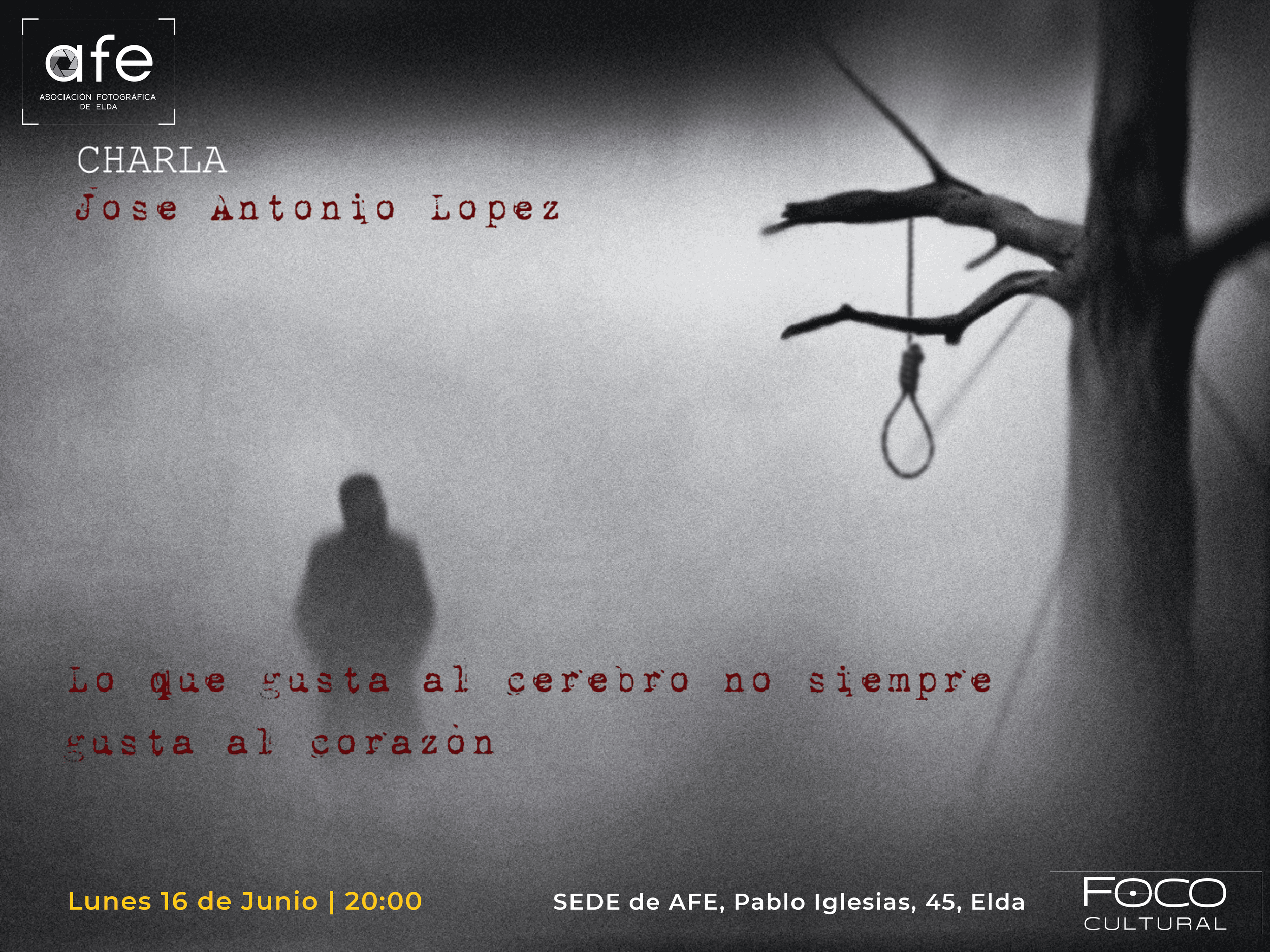 Lo que gusta al cerebro…