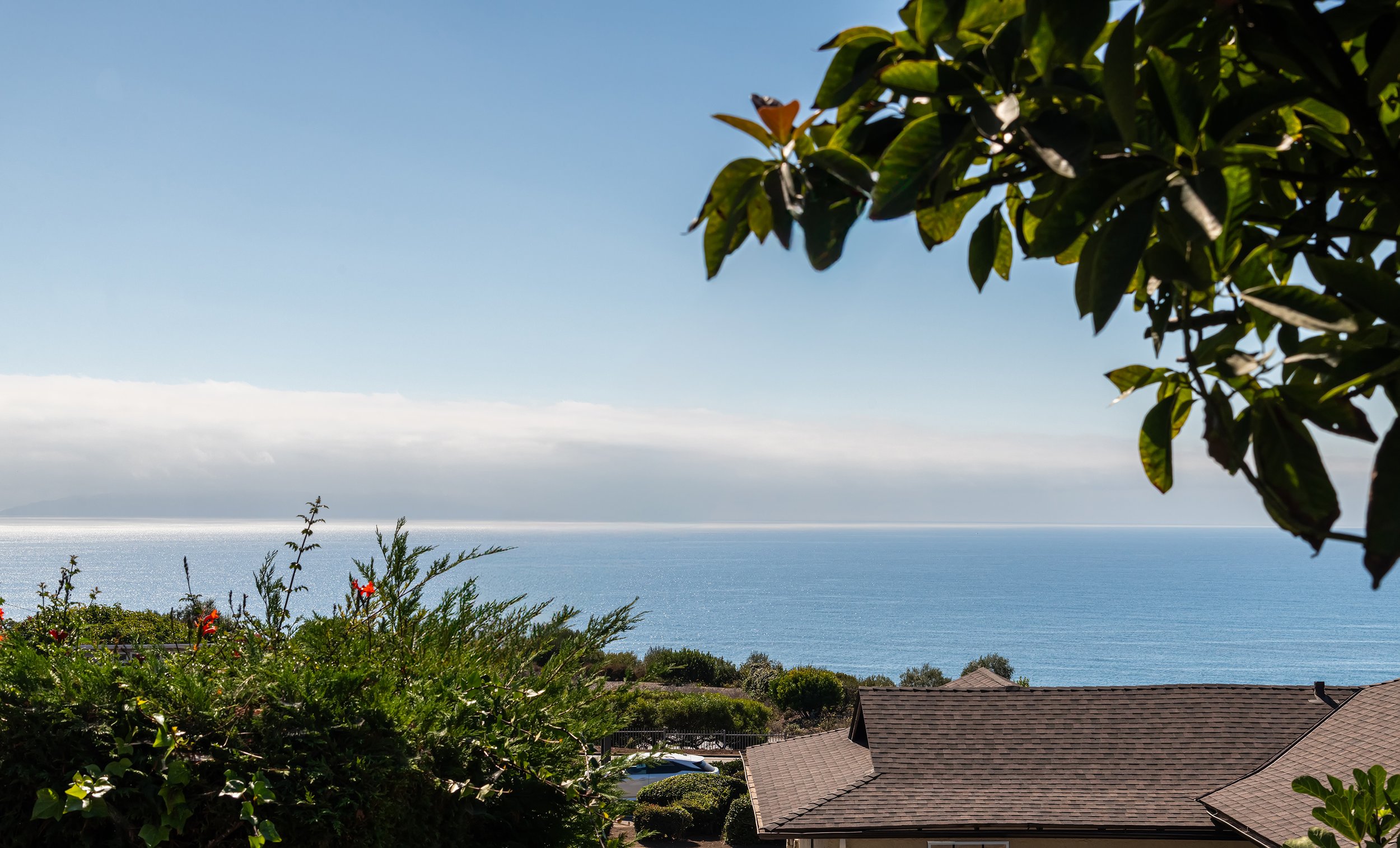 DSC_0778-Edit.jpg