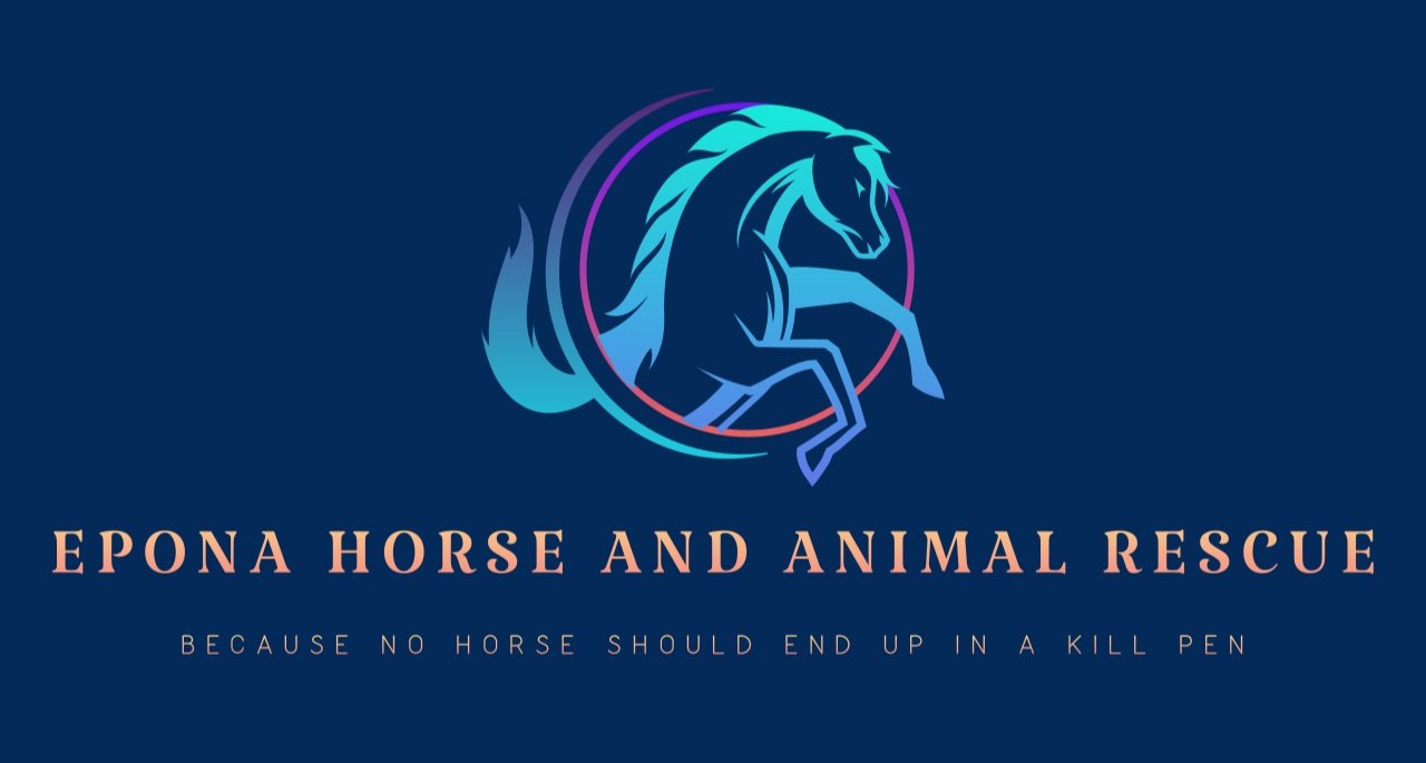 EPONA HORSE AND ANIMAL RESCUE  