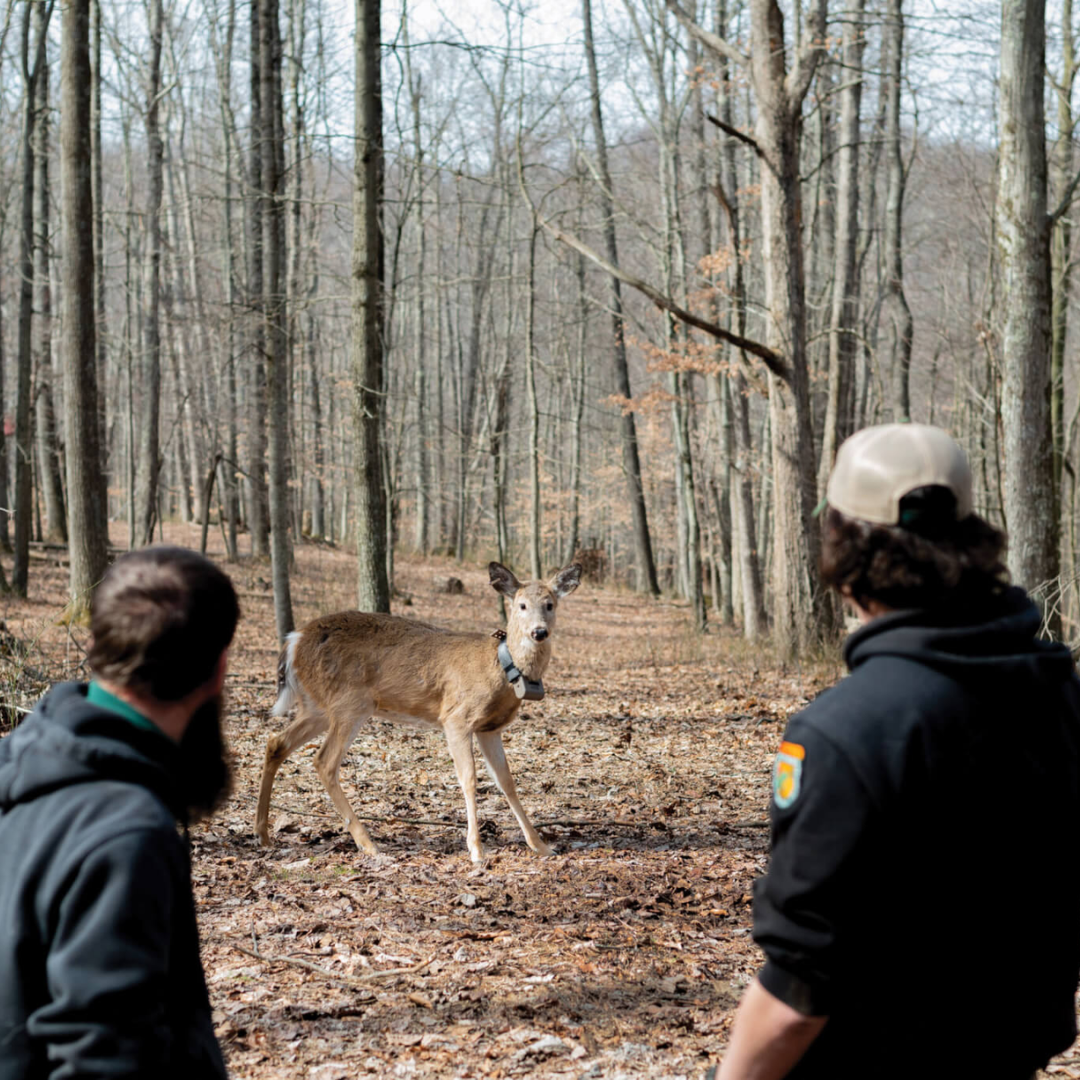 Latest Articles Image (9).png