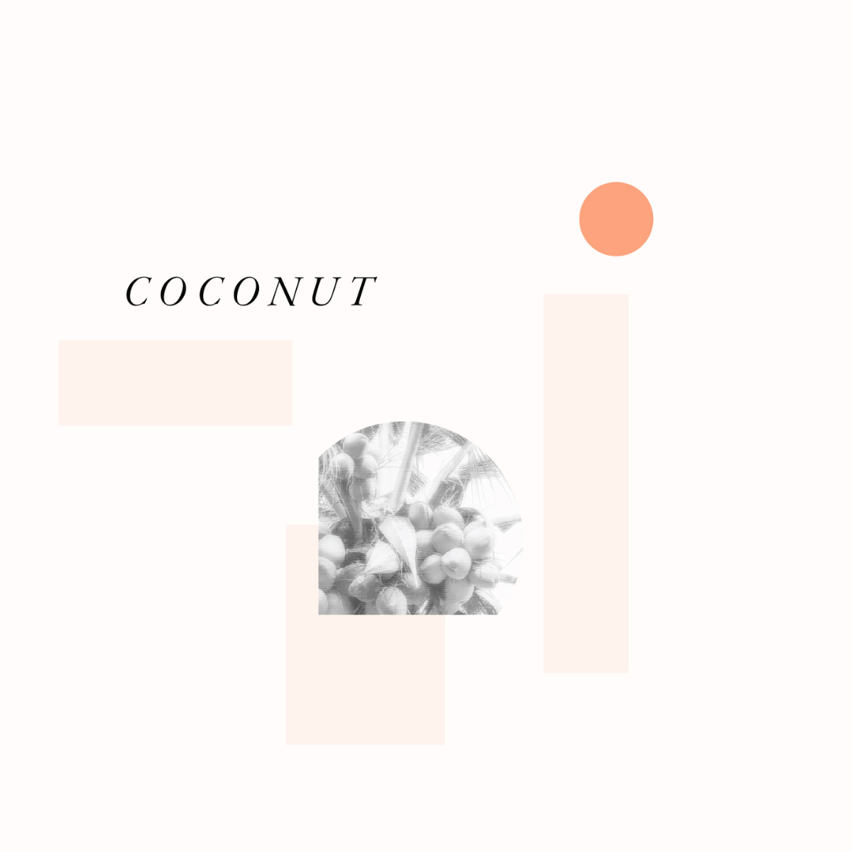 Coconut Oil