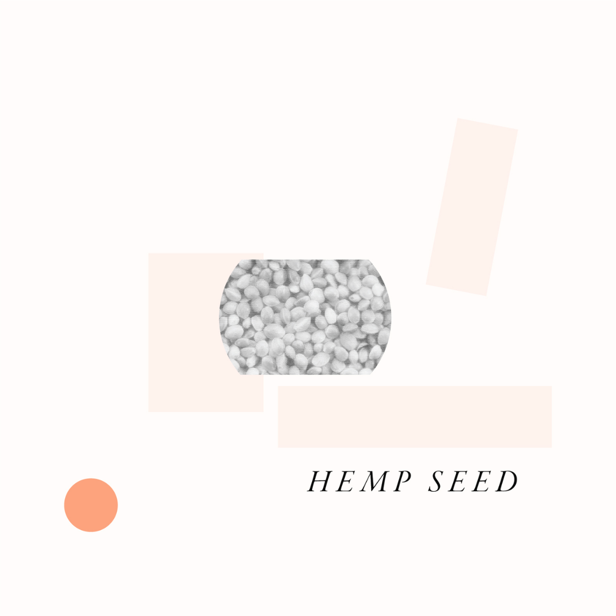Hemp Seed Oil