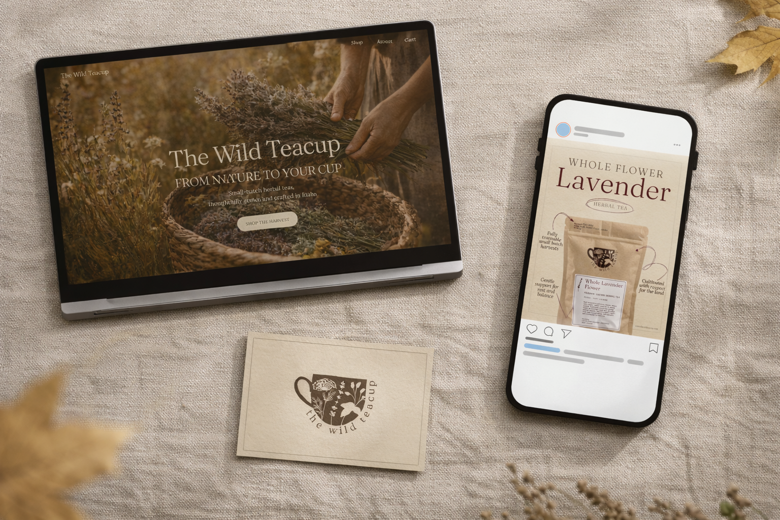 The Wild Teacup Comprehensive Brand System