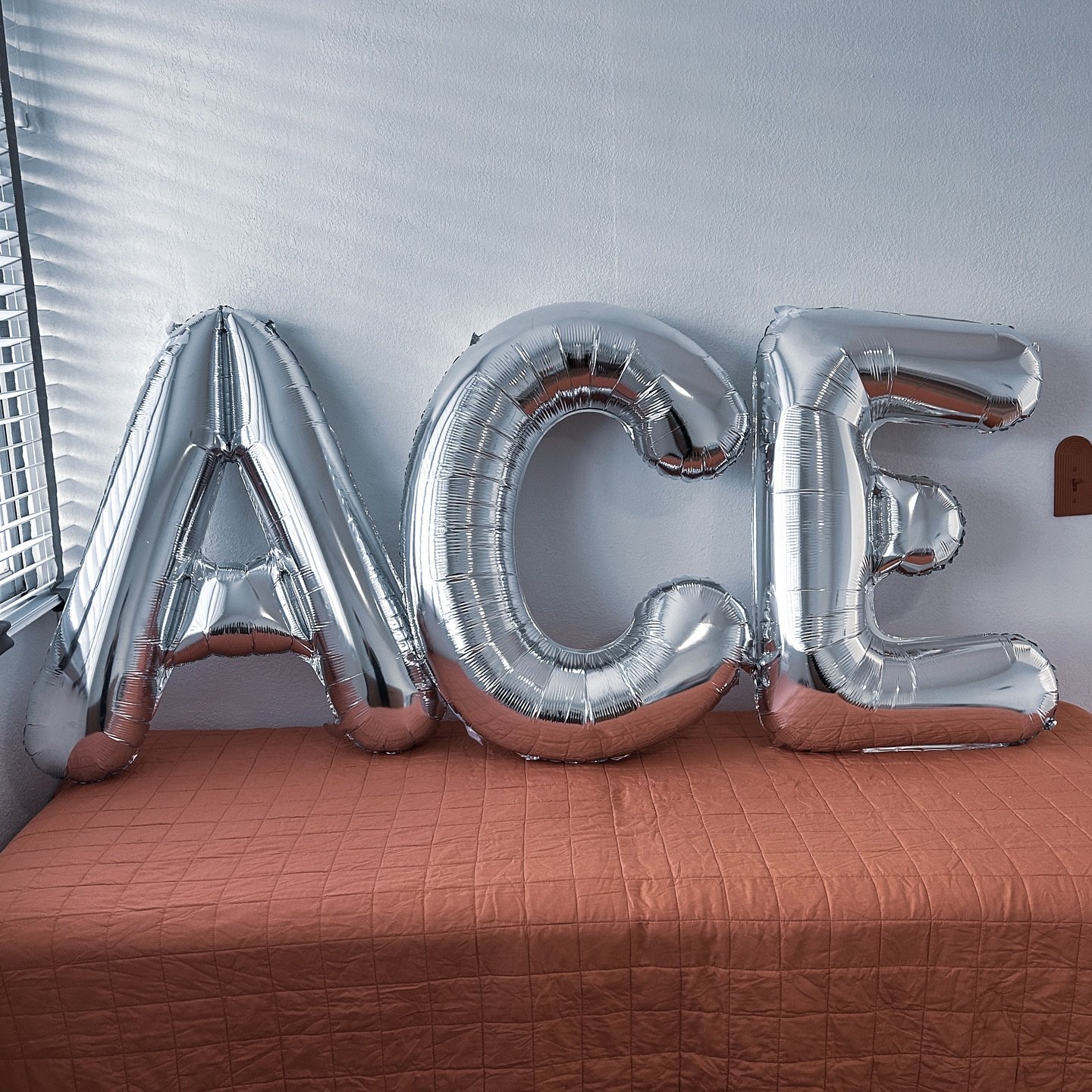 ACE Noun:
	&bull;	To do something extremely well, especially a test or performance.
	&bull;	Example: &ldquo;He aced the interview.&rdquo;

Ace (n.)
A standout. A top-tier expert. The one who gets it right every time.

Ace (v.)
To perfect. To elevate.