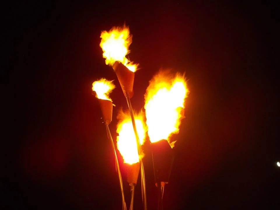 An art installation of giant metal flowers with torch flames burning against a dark night sky.