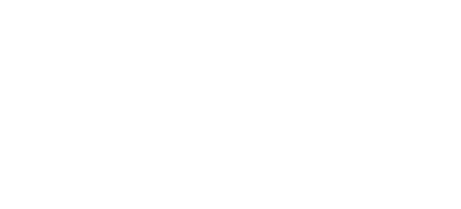 Lauren Wise Coaching