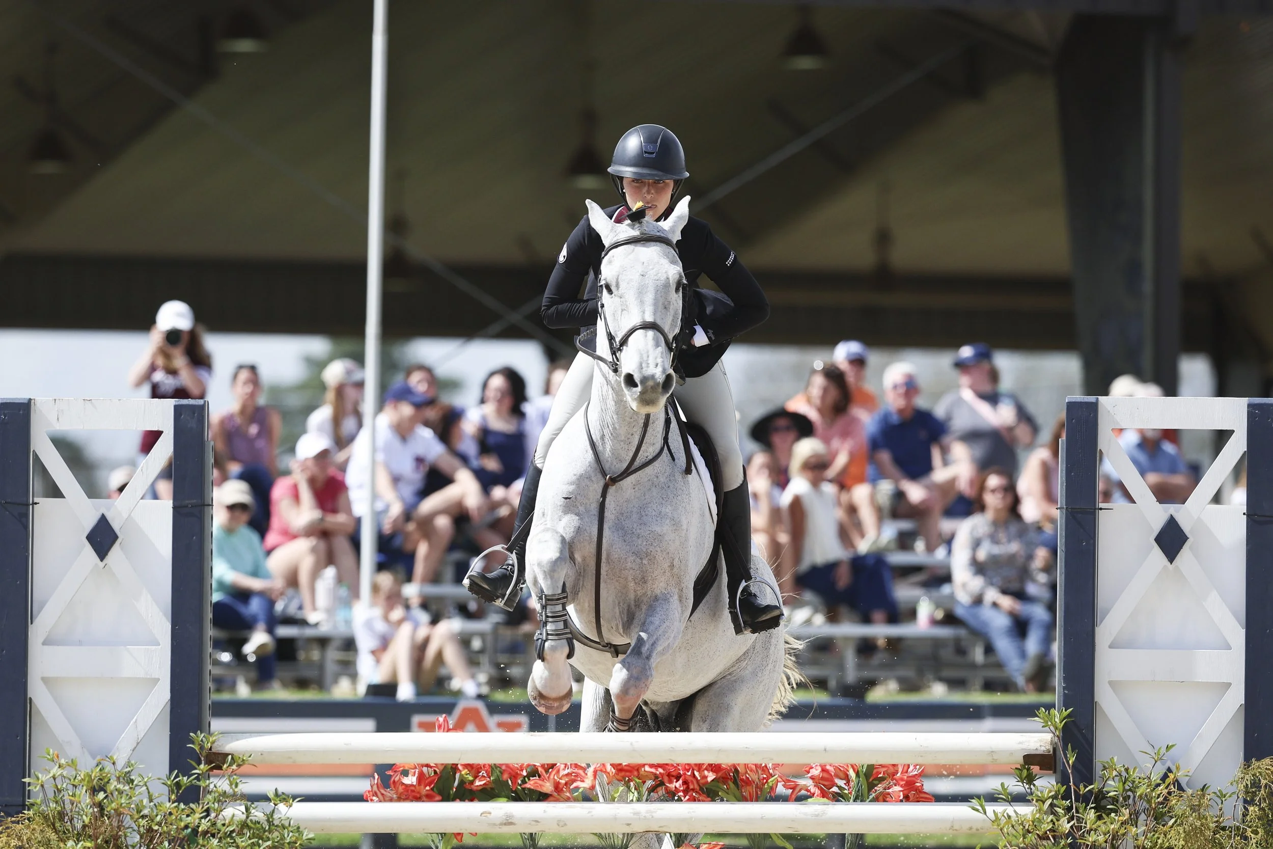 Equestrian