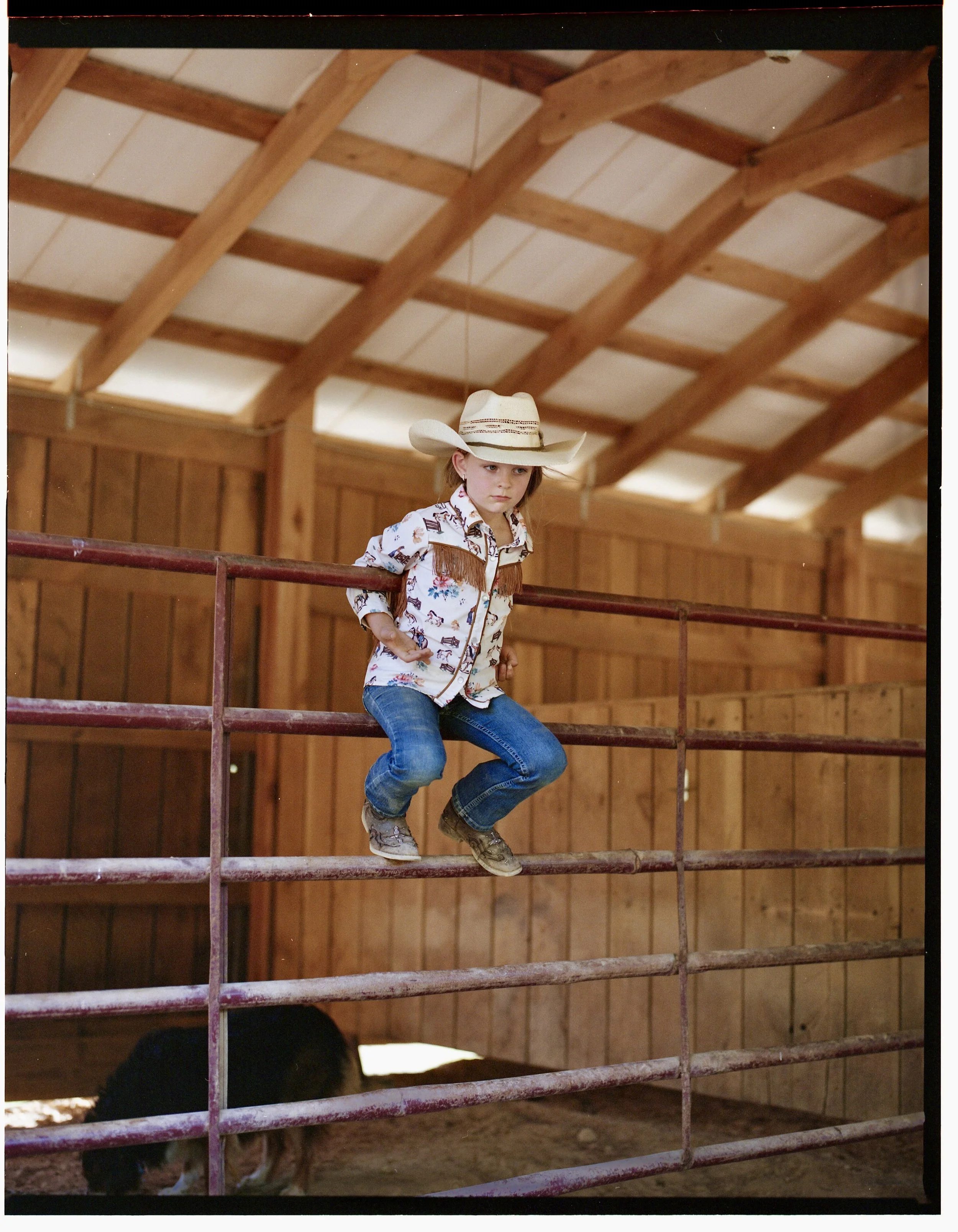 IMG_3004.jpeg