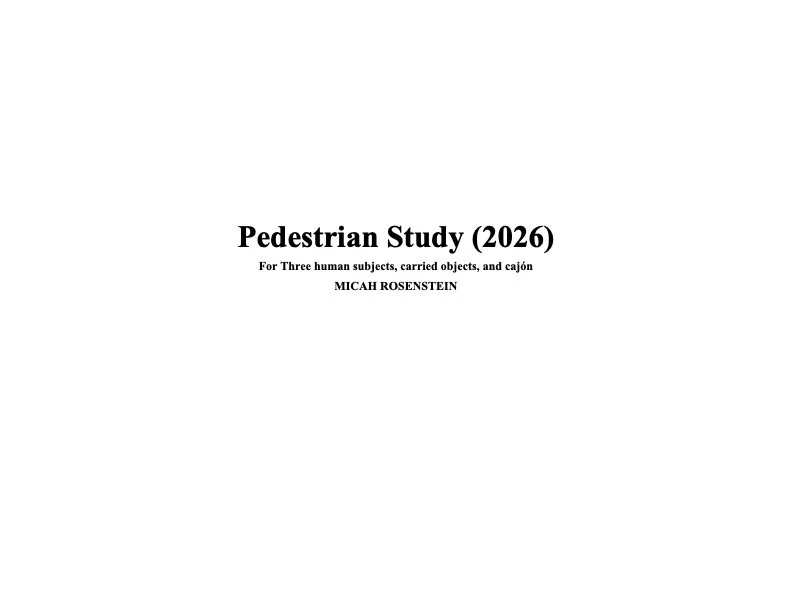 Pedestrian Study (2026)