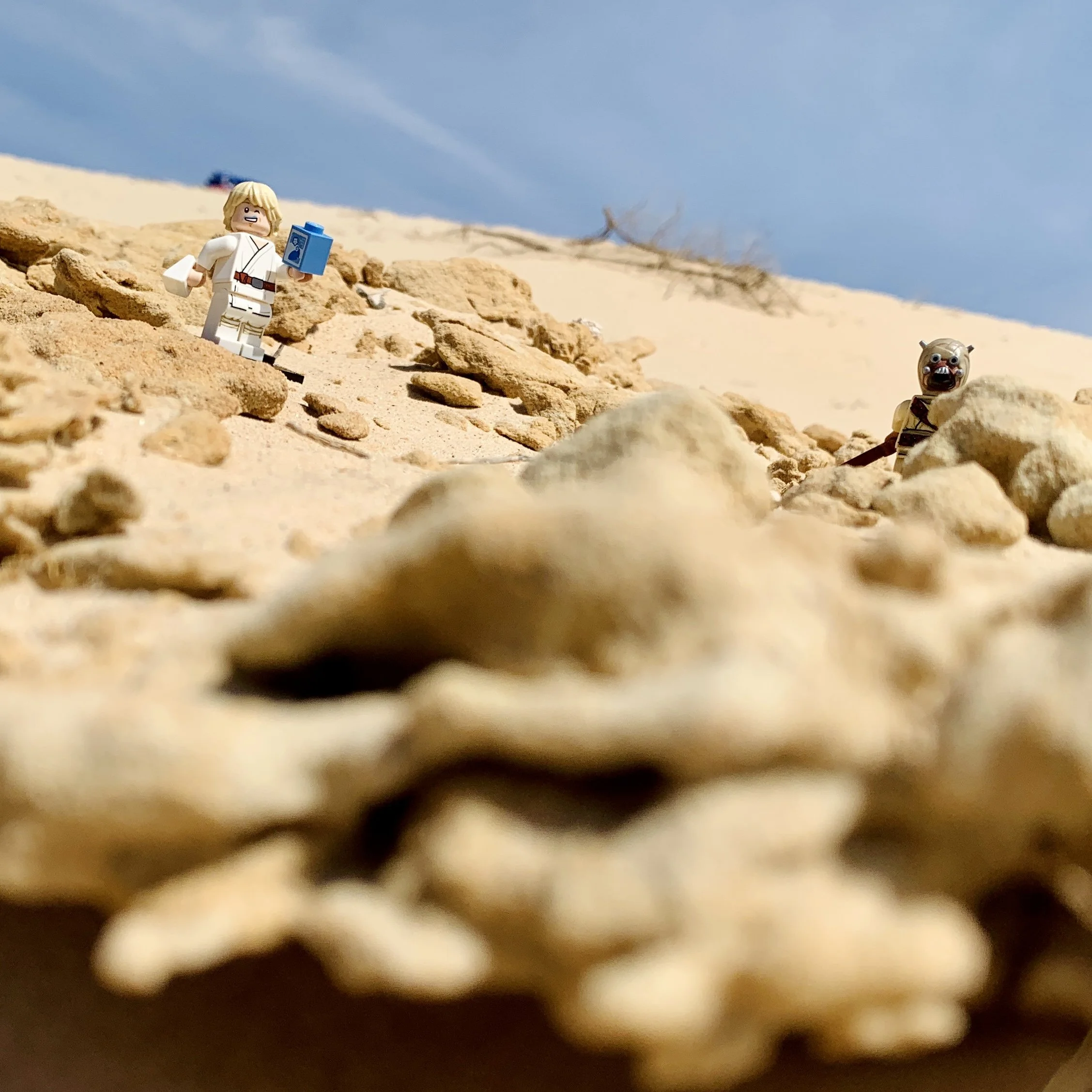 Blue Milk Desert Chase