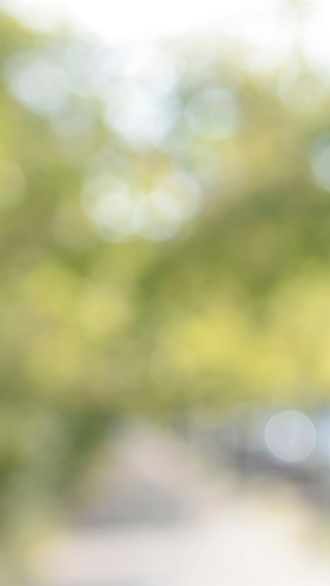 Blurred background of green and white colors resembling trees and sunlight.