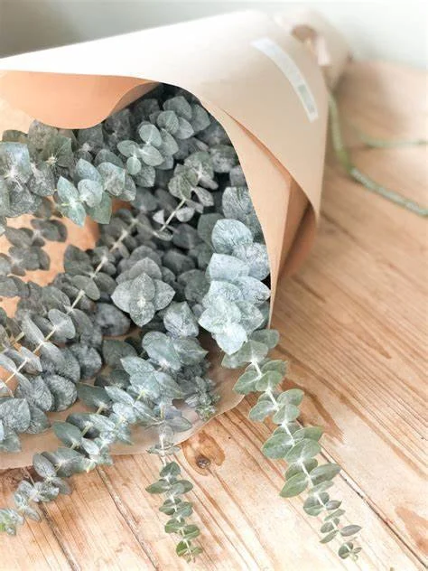 Eucalyptus bundle.jpg