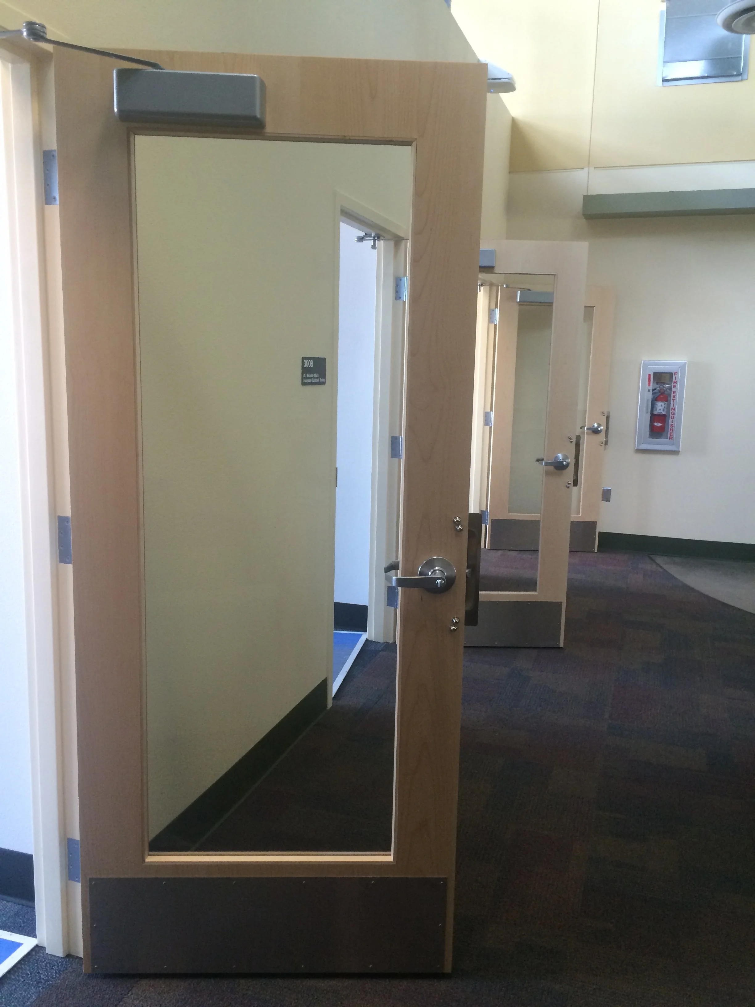 Commercial Full Glass