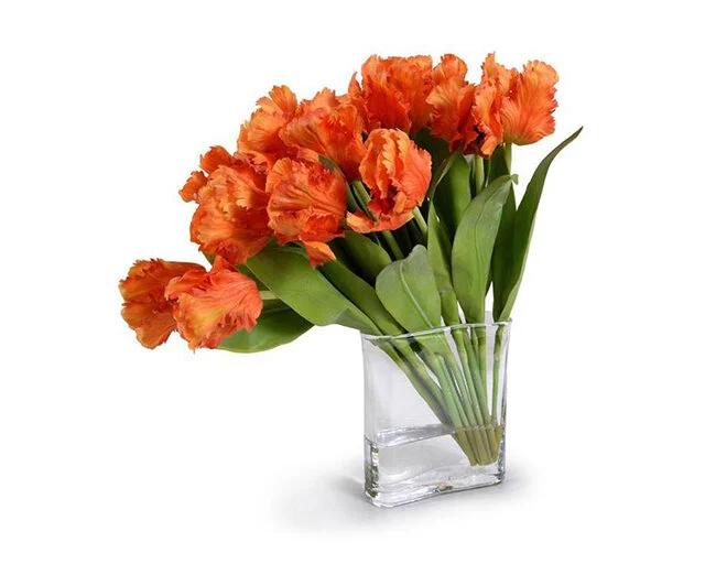 18 ITEMS THAT WILL ELEVATE YOUR SPRING TABLE