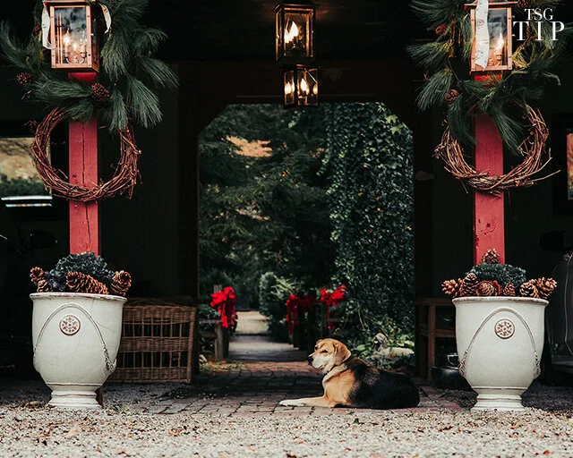 Experts' Guide to Decorating With Holiday Greenery