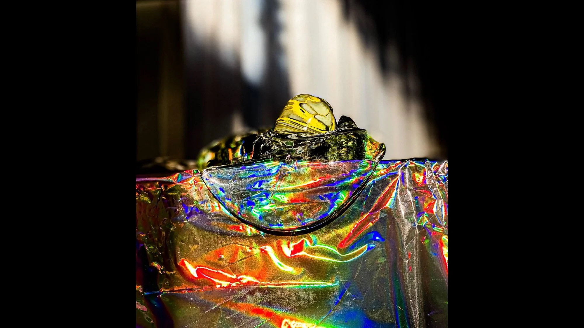 The egg image My firstjpg.jpg