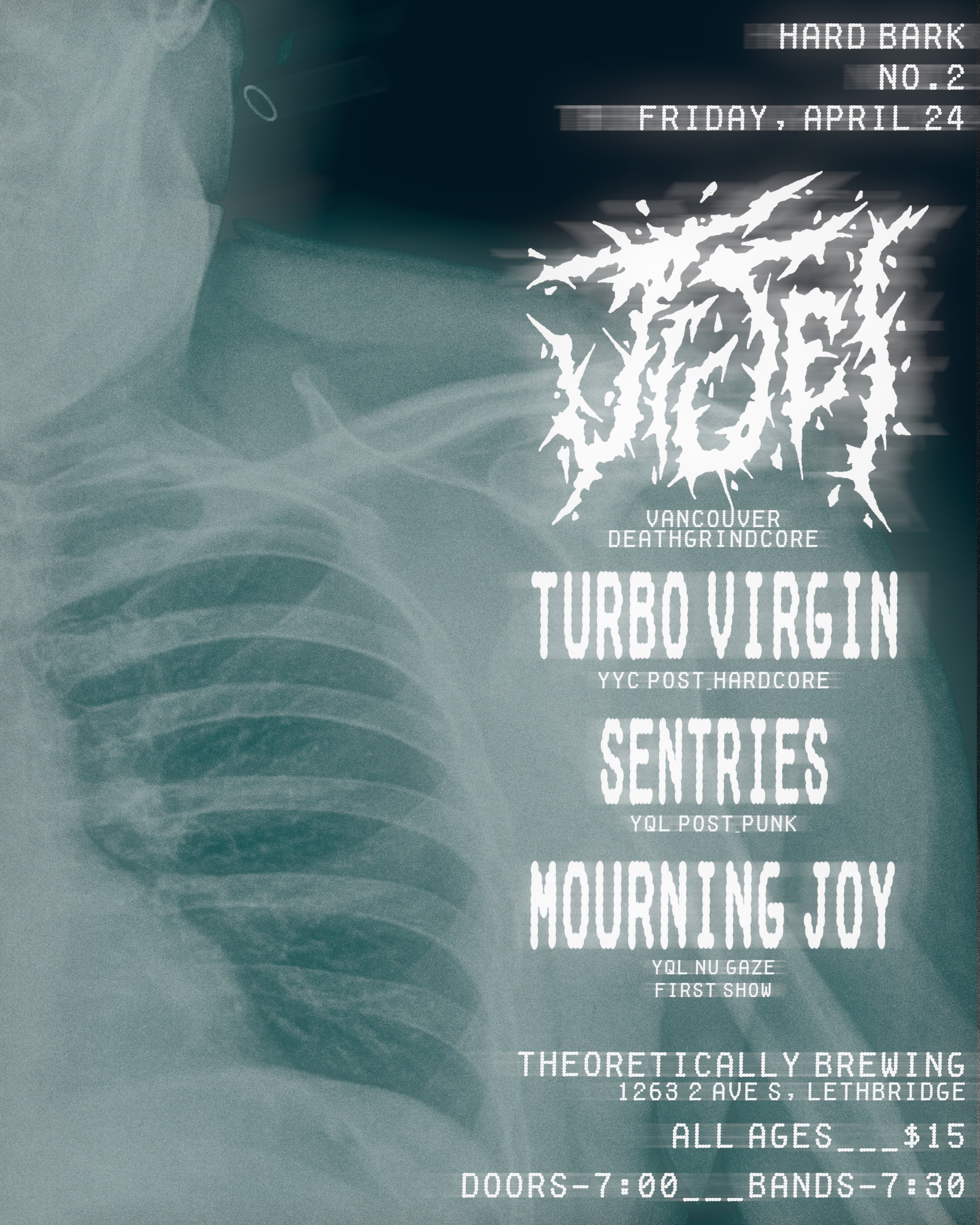Hard Bark Booking Presents: Jesei, Turbo Virgin, SENTRIES, &amp; Mourning Joy
