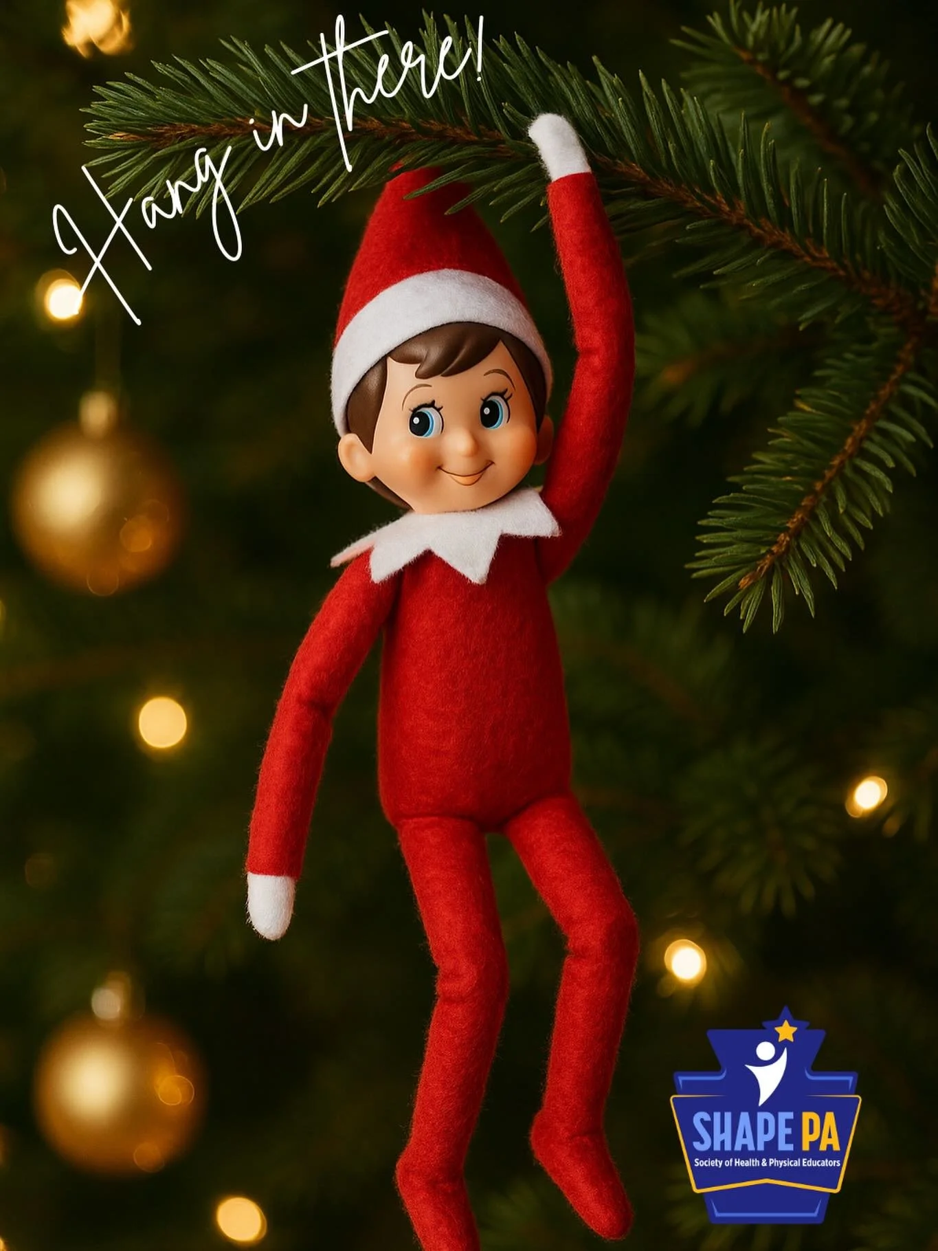 We&rsquo;re almost there &mdash; just 2 Fridays stand between us and Winter Break!
Keep bringing the magic to your classrooms. 💙💛 You got this!! #SHAPEPA