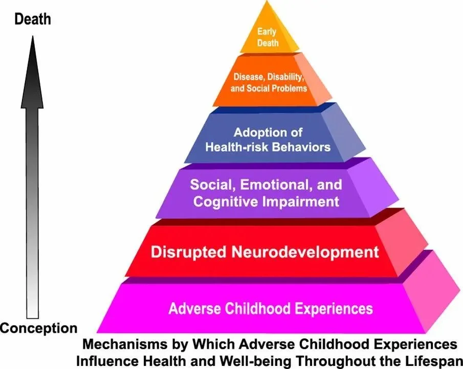 What Research Says About Childhood Trauma, (ACEs)