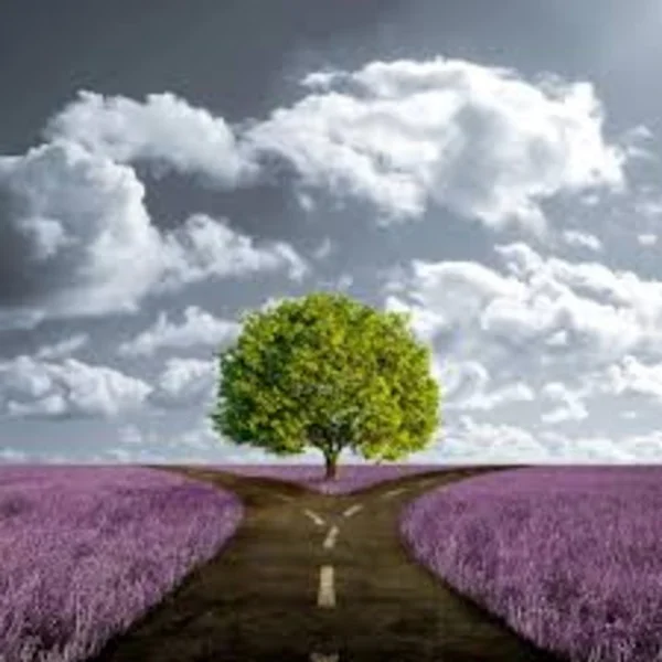 This is Where We Say Goodbye