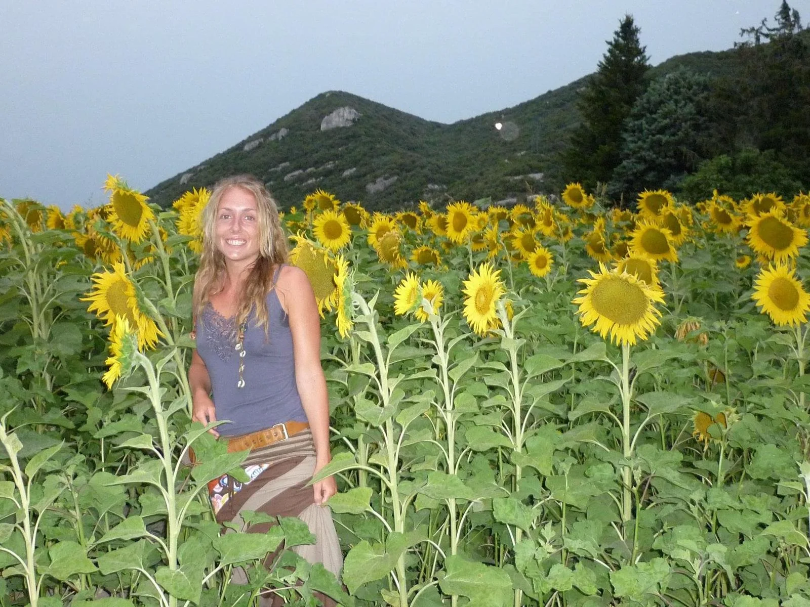 annelies lauwers.jpeg