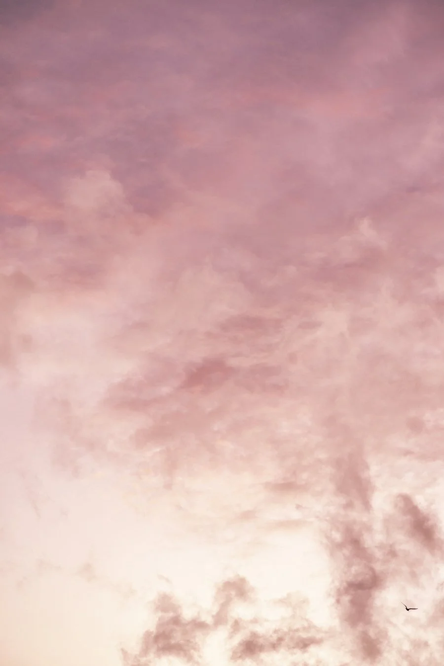 Blog Post Title Three