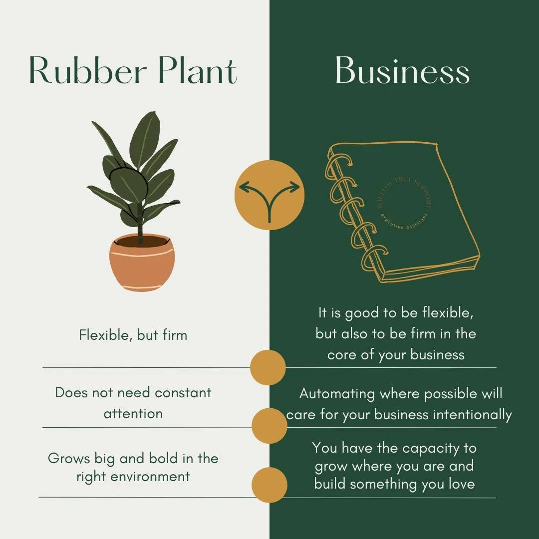 Rubber plants don&rsquo;t show off. They quietly take up space and bring life into the room, just like a well-run business.
Stay steady. Stay rooted. Keep growing. You&rsquo;re doing better than you think 💚

#RubberPlantMindset #QuietStrength #Roote