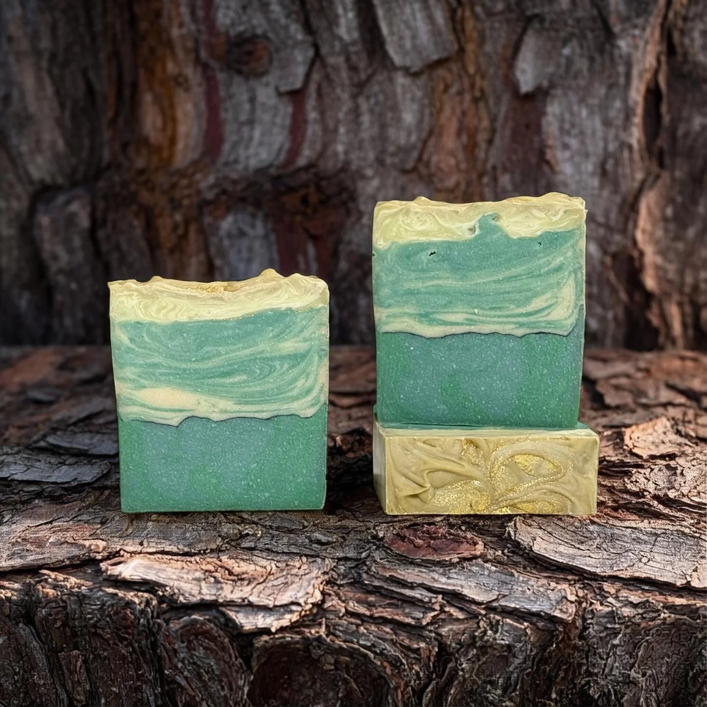 Moonlit eire tree trunk.JPEG