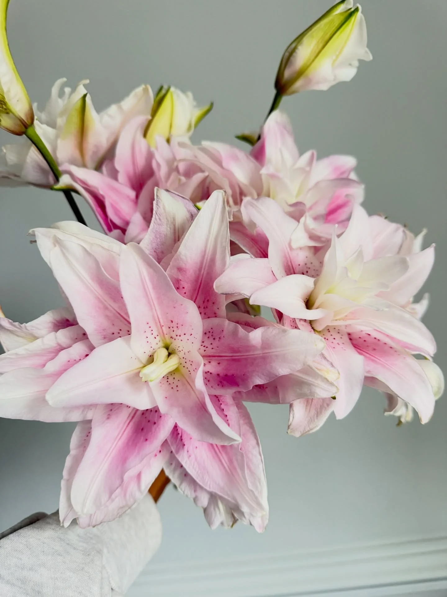 Lilies&hellip; they hold such a sweet, soft spot in my heart for flowers in the house.
They have a long life, but what I really love most is the scent.
An organic air freshener for every room&mdash;and I&rsquo;m literally obsessed 🤎

Here&rsquo;s a 