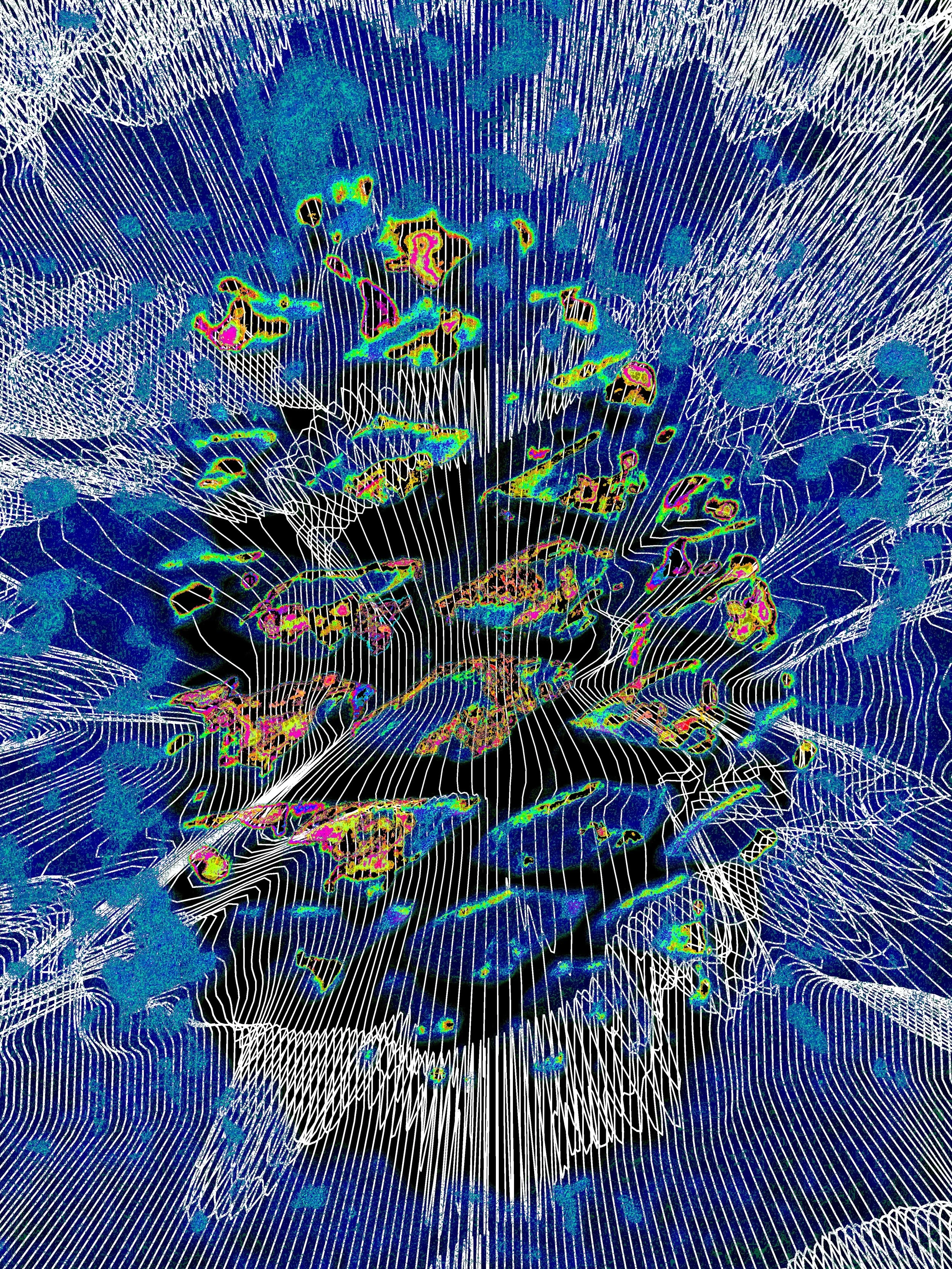 Digital Explorations: Transforming A Pine Cone