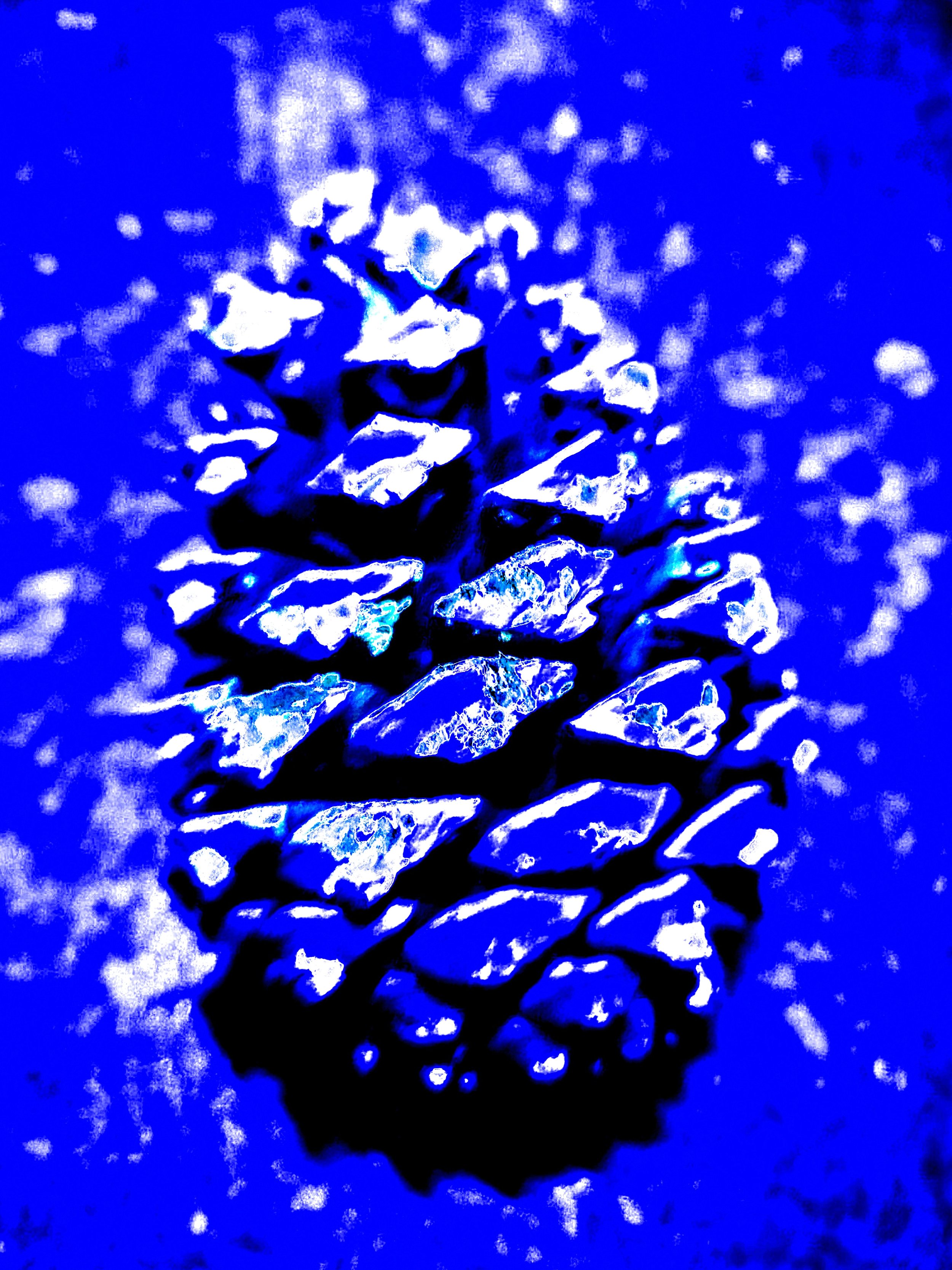 onelab_1791248985098_Original.jpeg