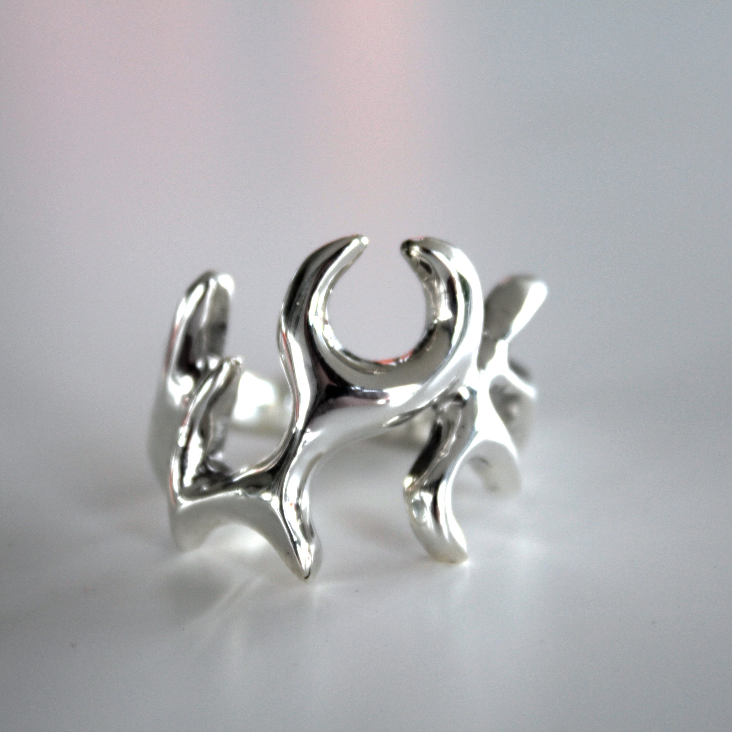 2nd ring.jpg