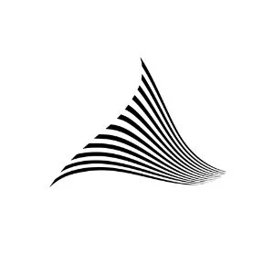 Abstract black and white curved line pattern on a white background