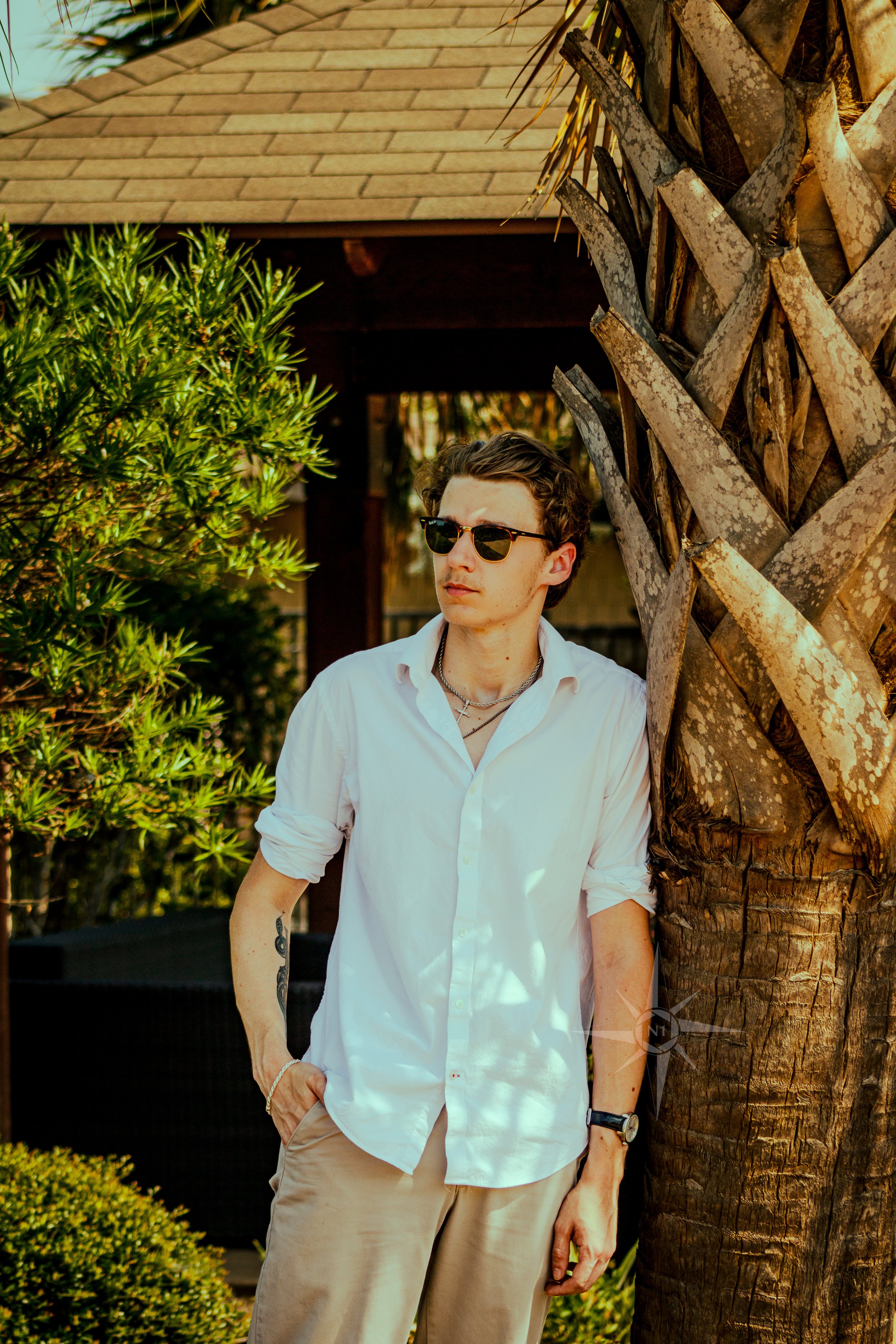 model-lean-palm-tree.jpg