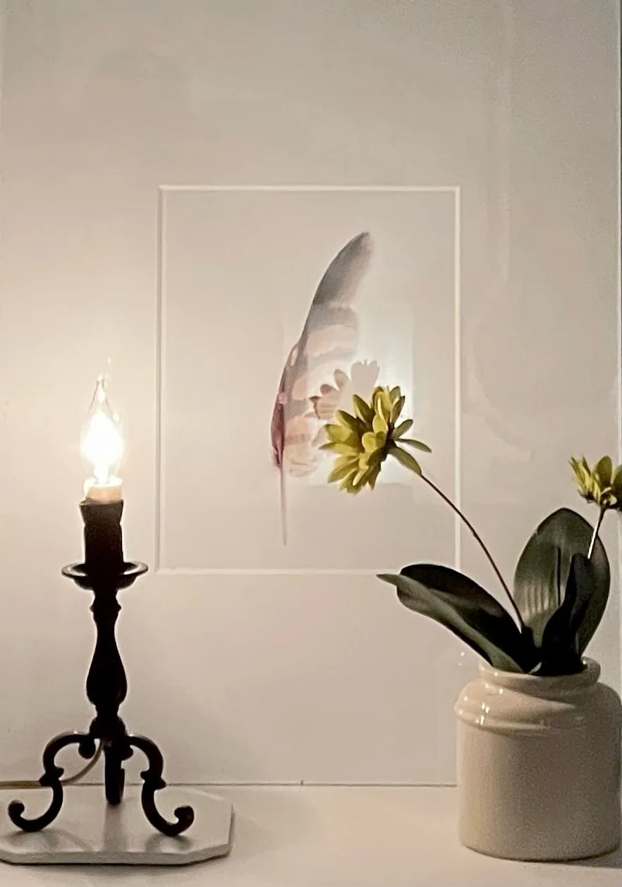 The Parker House Hyde Park Vacation Rental New York