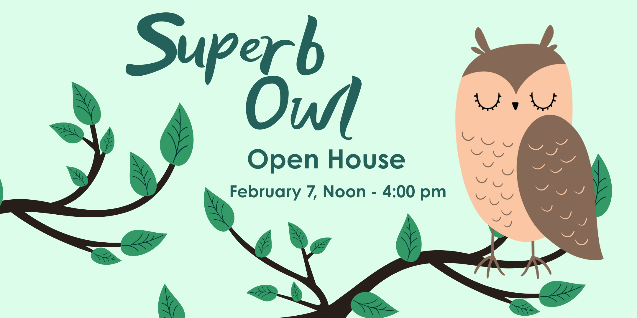 Superb Owl Open House - February 7, Noon - 4:00 pm