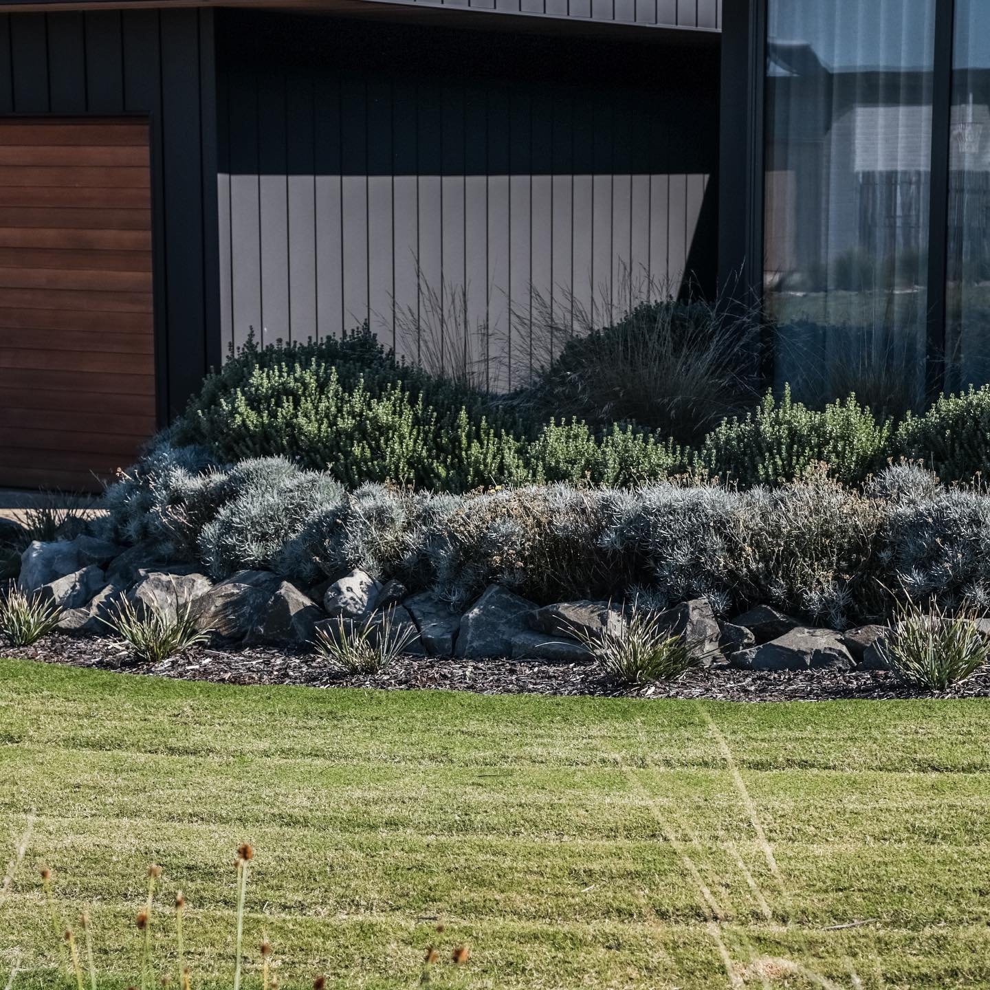 Some of our simple yet impactful front garden facades. 🌱

#landscape #landscapedesign #warrnambool #landscapeconstruction