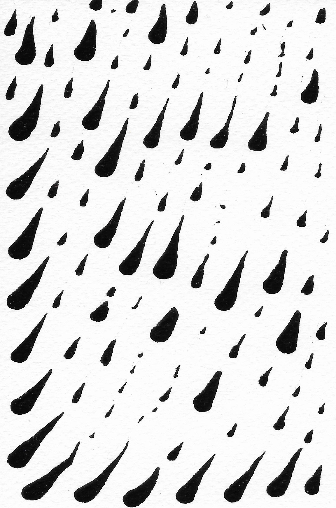 Shower 15.JPG