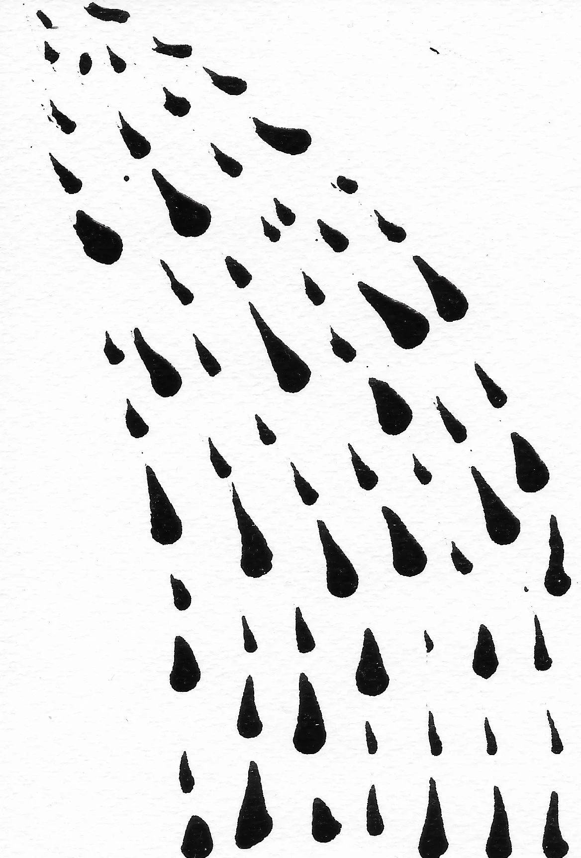 Shower 12.JPG