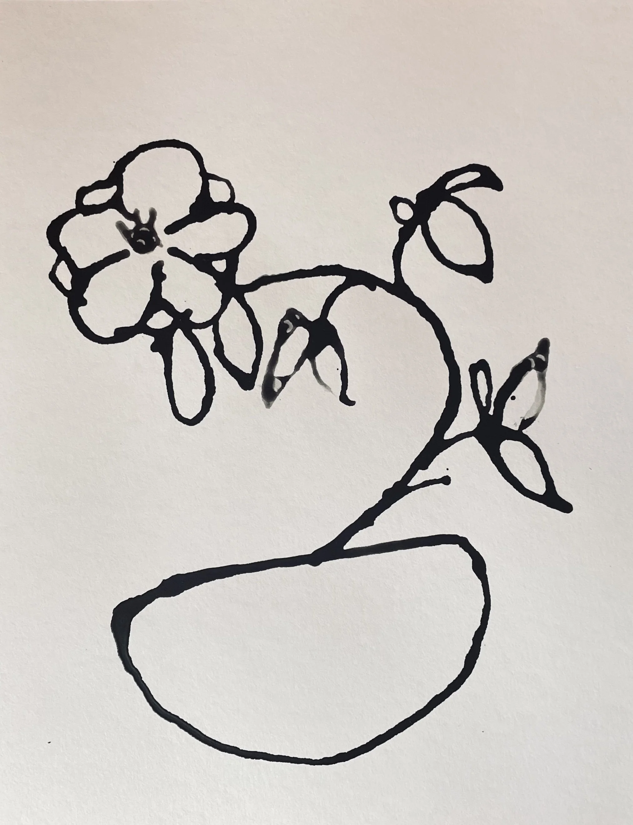 Flower in Pot_5x7_2024.jpg