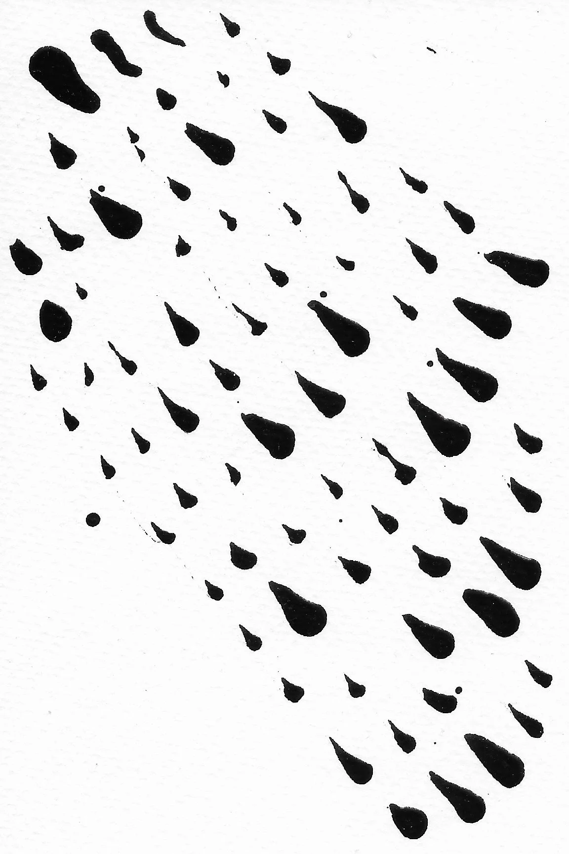 Shower 13.JPG