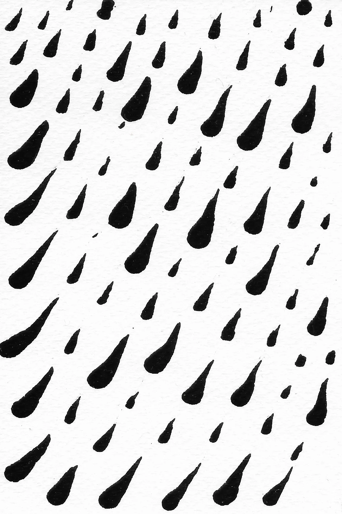 Shower 17.JPG