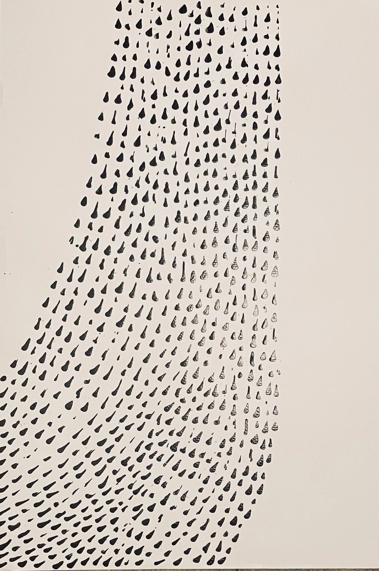 Shower_Curve_18x24_2025.jpg